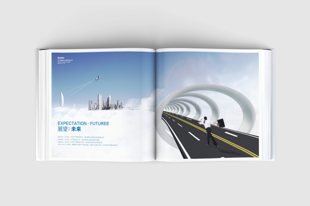 汤旺河区画册设计
